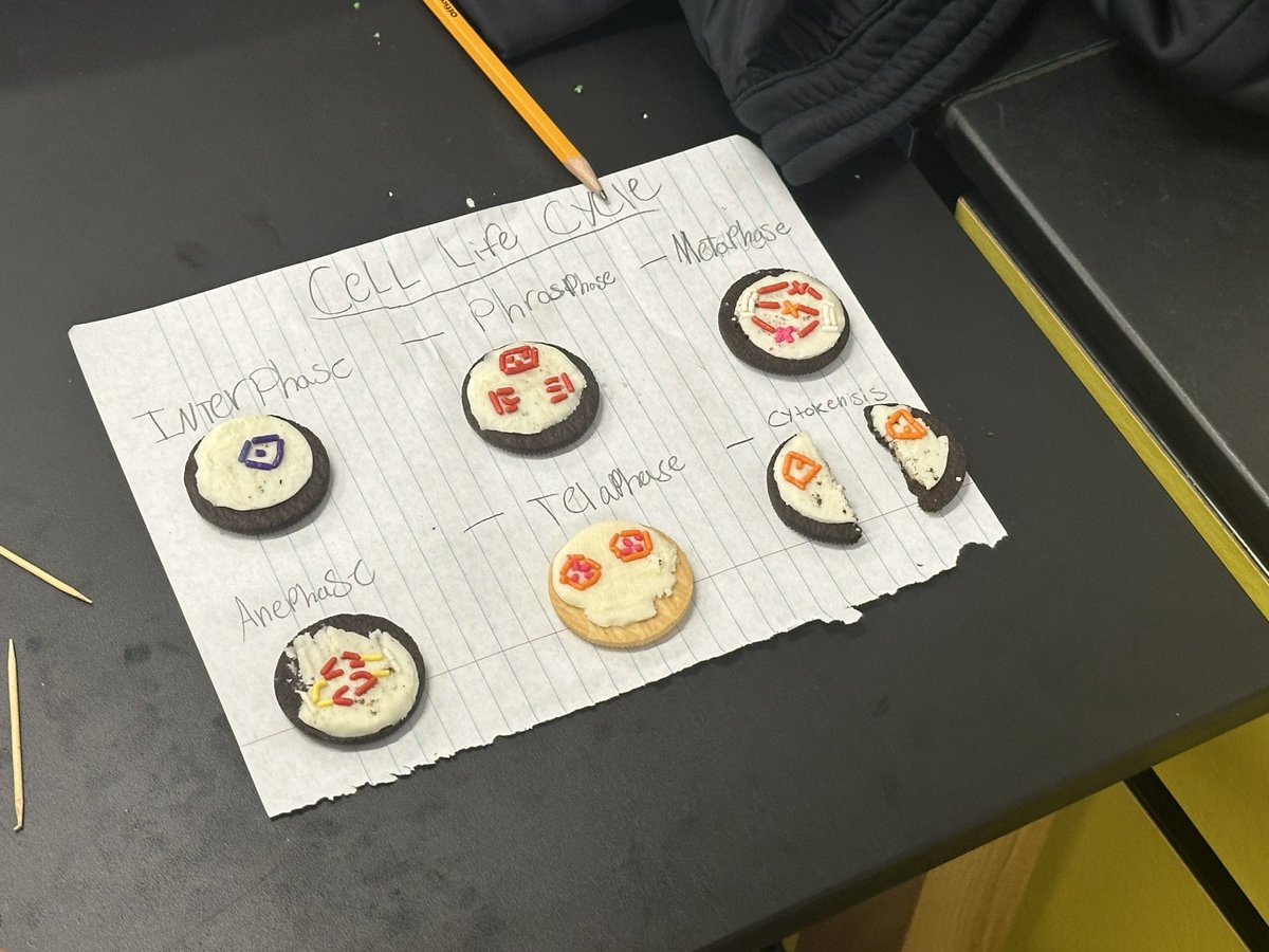 Ss collaboratively creating cell life cycle models using cookies &amp; sprinkles! <a href="/IMSGRT/">Lori Wilson</a> <a href="/IMSEagles/">Independence Eagles</a>
