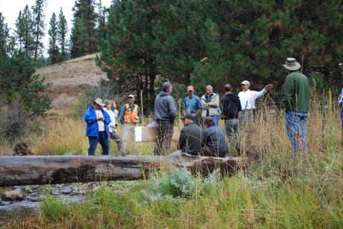A collaborative vision for healthy stream habitats and First Foods - research.fs.usda.gov/pnw/news/featu….