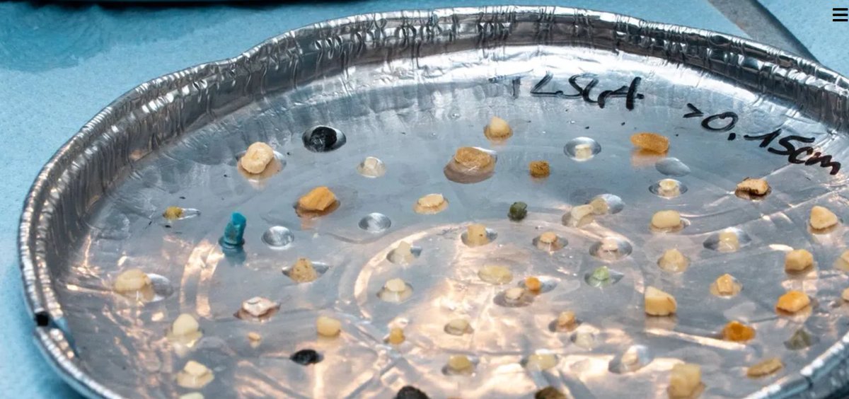 Se estima que el tamaño de la Gran Mancha de Basura del Pacífico equivale al doble del área del estado de Texas, en Estados Unidos. Ahí se almacenan cerca de 100,000 toneladas de desechos plásticos.
<a href="/amturiel/">Antonio Turiel</a> <a href="/EEljarrat/">Ethel Eljarrat</a> <a href="/IDAEA_CSIC/">Inst. of Environmental Assessment & Water Research</a> @AAretxaba <a href="/luisglezreyes/">Luis González Reyes</a>