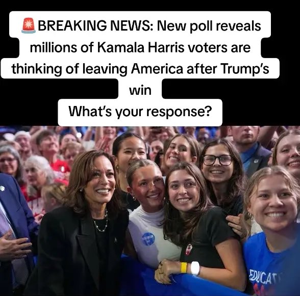 One Bad Dude tweet media