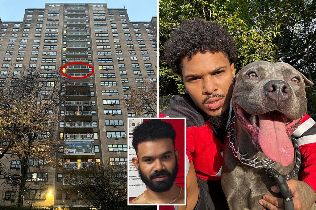 NYC migrant allegedly throws pal’s beloved pit bull off 14th-floor balcony — and walks free: ‘Murdered my dog for no reason’ trib.al/n29cxwl