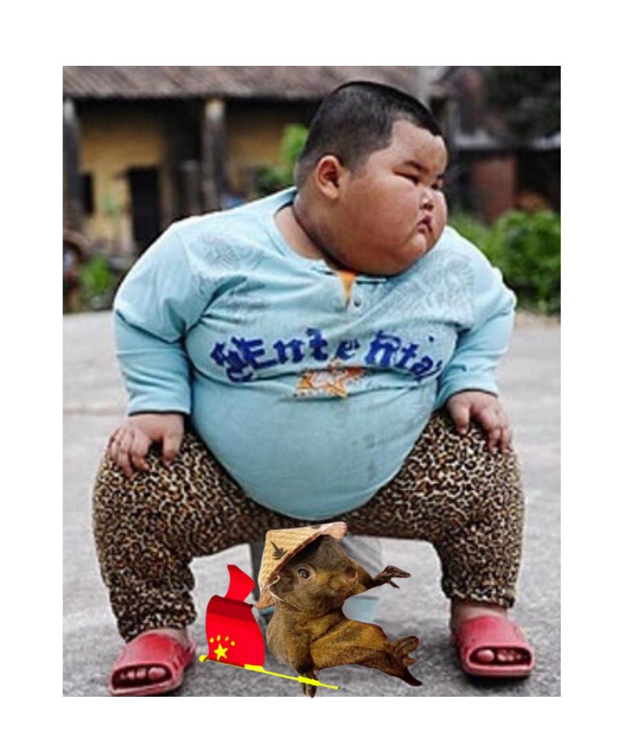 CnutCoin's tweet photo. Don't fade $Cnut. 

#Cnut #SendCnutHome https://t.co/sB6o7aFm9C