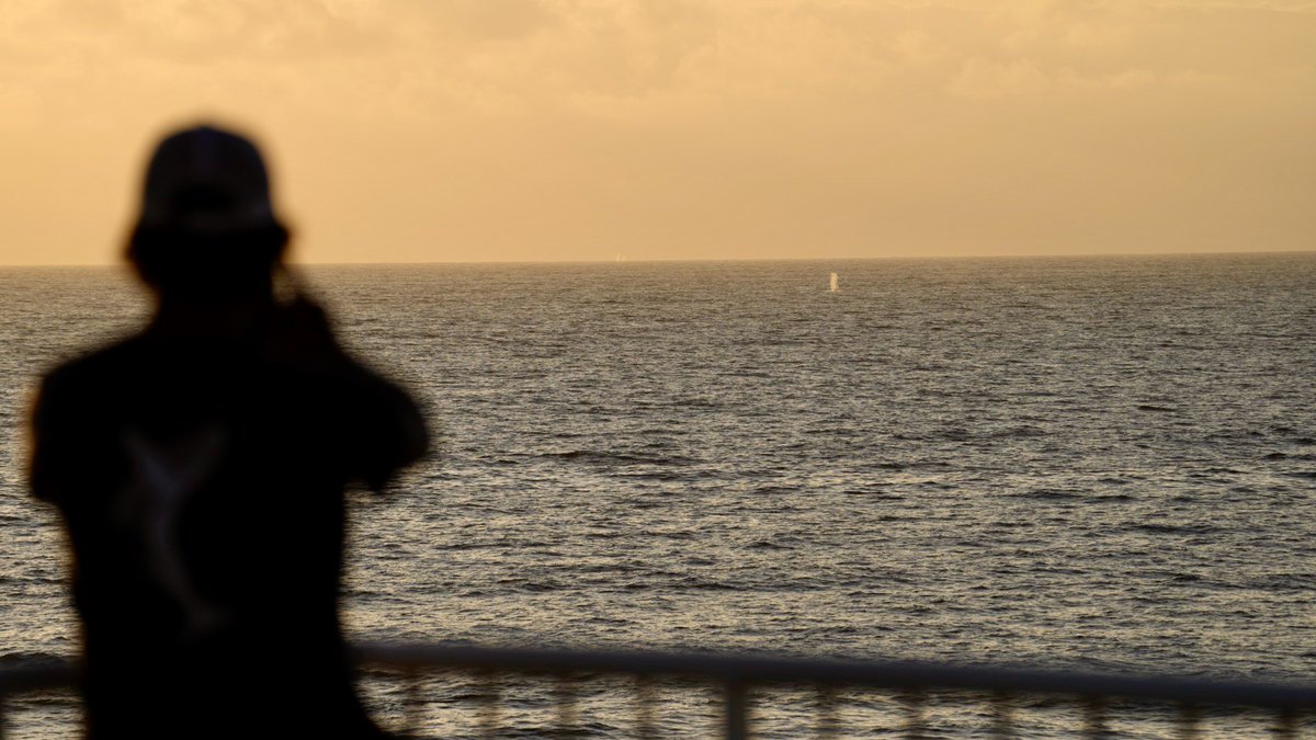 ARSANCHEZFOTO's tweet image. Ballenas por toda  #antofagasta