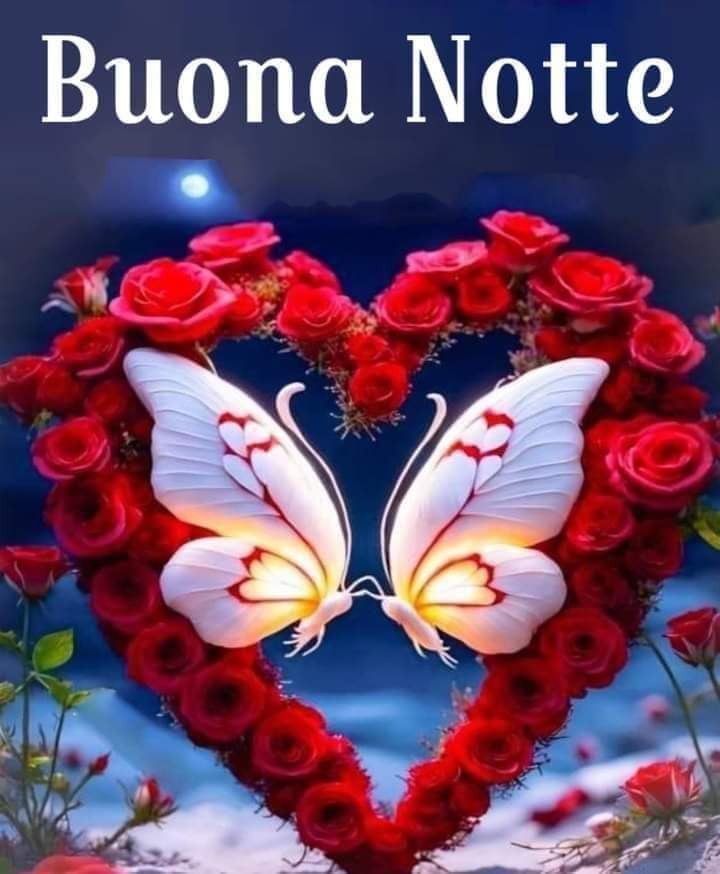 AlessioBellucc5's tweet photo. @Fiordal92877056 Un altro giorno passato... Serena è dolce notte a te carissima Graziella 😘😘😘 https://t.co/WxlPQ9liNa