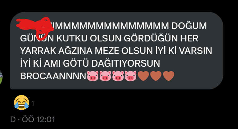 kızlar dogum günü mesajıma bakınnnn 😂😍