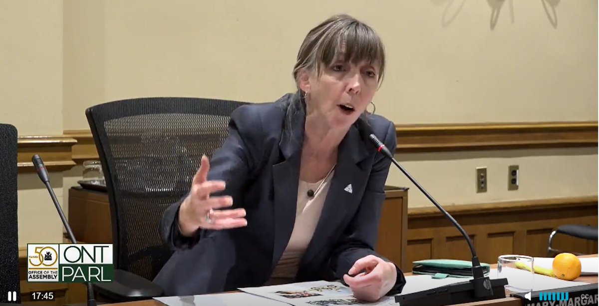 MichaelPolanyi's tweet photo. "This is politics at its worst....You are telling me you don't value my life...or the lives of your residents who choose to bike." - @marymargaretbey #Bill212 #onpoli #cycleto https://t.co/Ee0zeQ3nYm