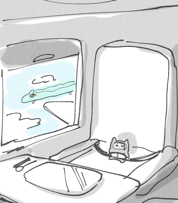 ✈️