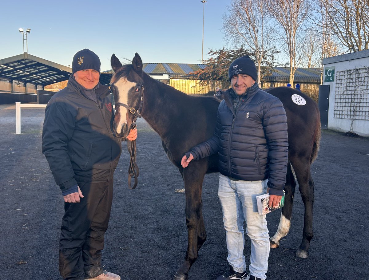 CompasStallions's tweet photo. Leading the way on Day 4 @Goffs1866 is Lot 951 Space Traveller Colt selling for €46k to Ihor &amp; Andray from @HoStud from @DrumachonS 🏇🥳

Top pinhookers @LeonCarrick @leah__burgess @ManisterHouse added a 👨‍🚀🚀🐴 to their collection today 👏🙏💪 🍀🤞 https://t.co/bbAoMzs2mZ