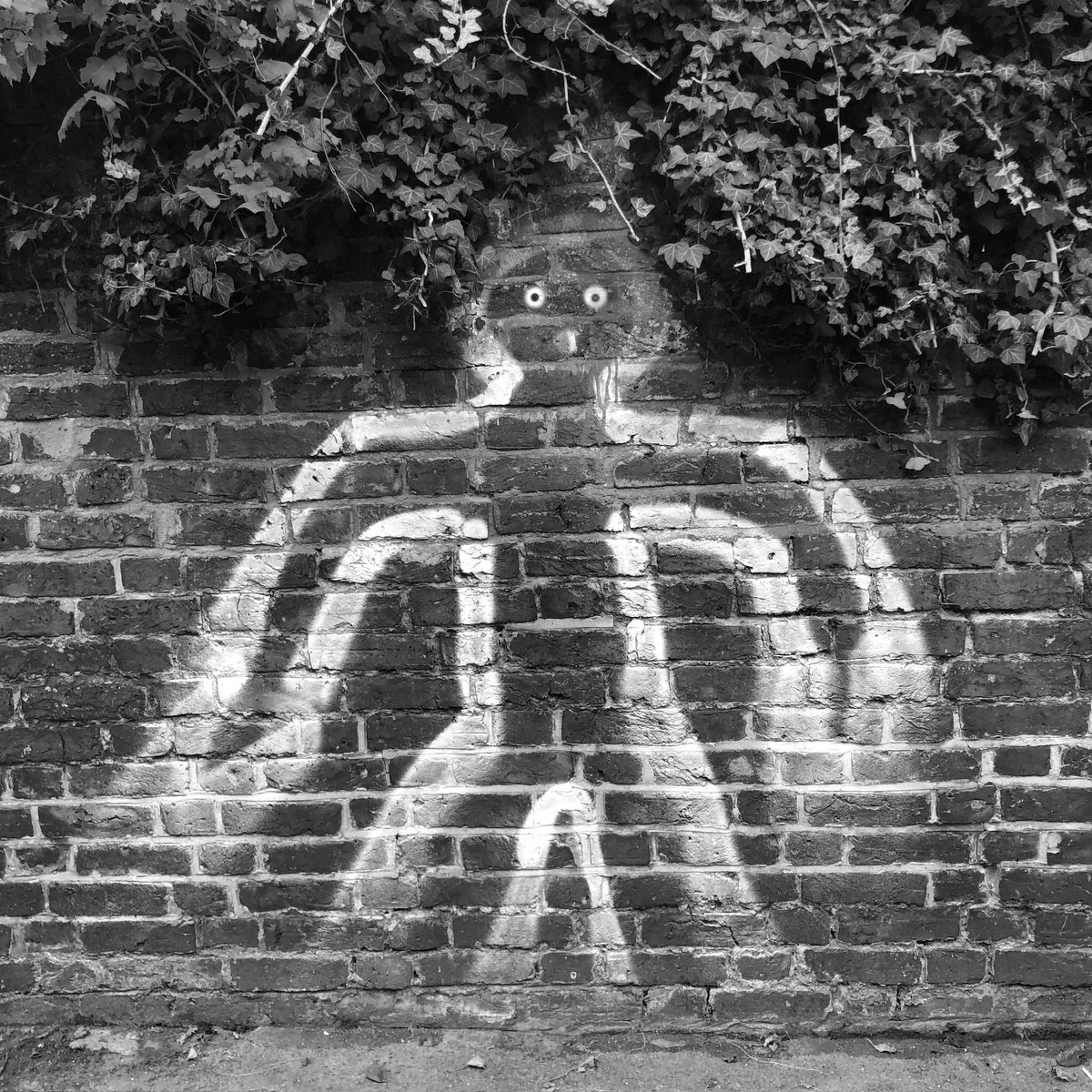 Police apprehended the Cerne Abbas Giant after three days on the run.