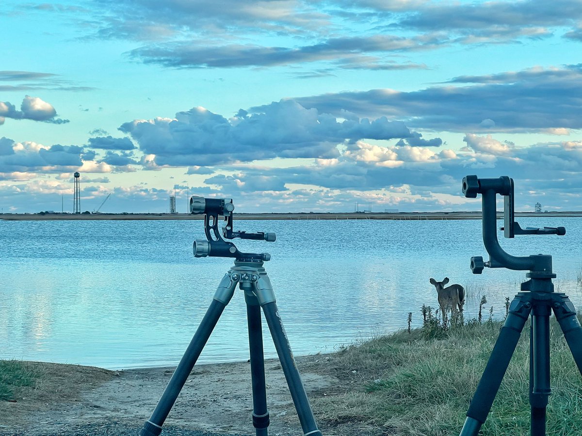 fxsmurphy's tweet photo. Even the deer are stopping by to watch the launch. :-) #rocketlab #Electron #nasawallops #reusablelaunchvehicles #nasa #space #rockets #wallopsflightfacility
#virginia #launch #rocket #space #spaceflight https://t.co/3nm1svNe0W