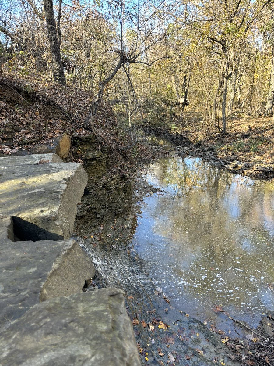 plugintonature tweet picture