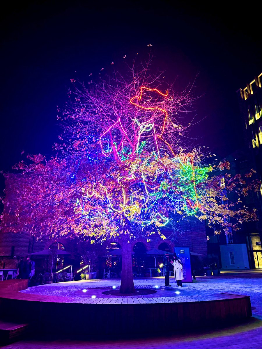 Prof Mariya Moosajee (@mariyamoosajee) on Twitter photo Walking home from the <a href="/TheCrick/">The Francis Crick Institute</a> past <a href="/StPancrasInt/">St. Pancras International</a>. The Christmas lights look very cool #LoveChristmas Walking home from the <a href="/TheCrick/">The Francis Crick Institute</a> past <a href="/StPancrasInt/">St. Pancras International</a>. The Christmas lights look very cool #LoveChristmas
