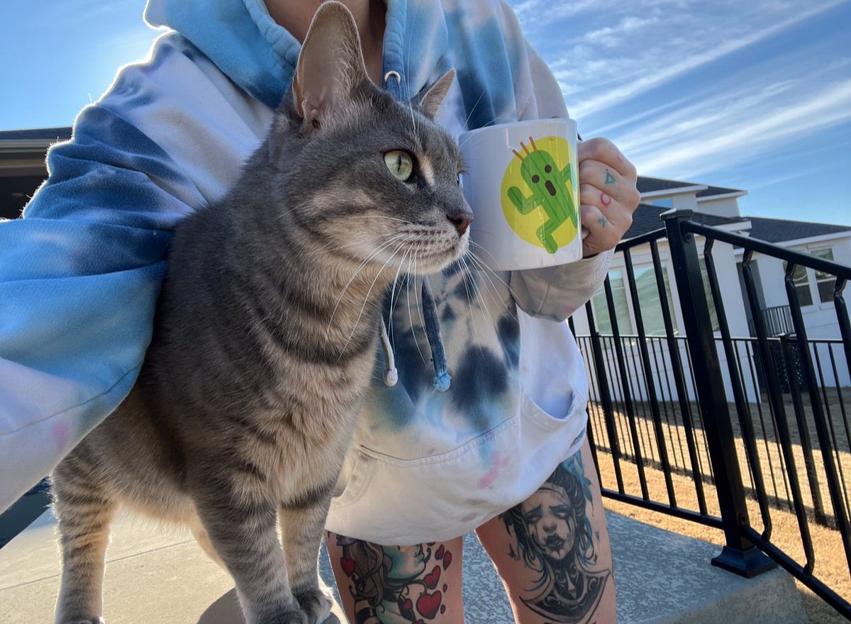 Laura Lux 🦖🪐 tweet media