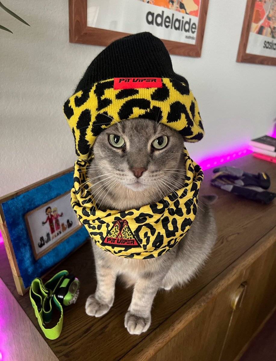 Laura Lux 🦖🪐 tweet media