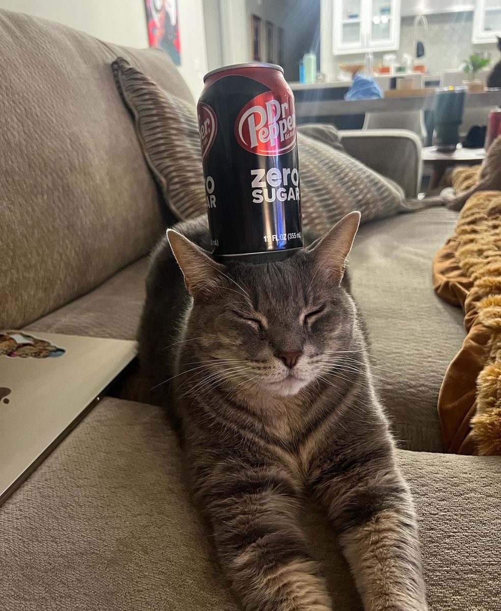 Laura Lux 🦖🪐 tweet media