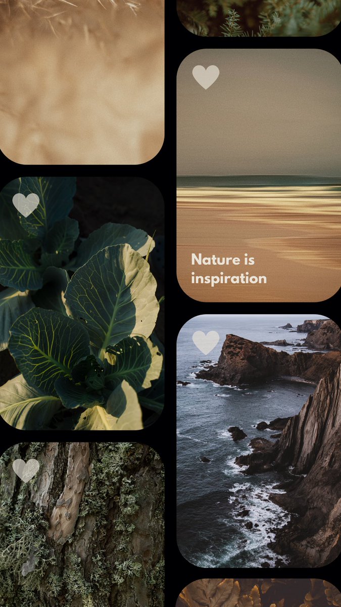 AnGelMossInc's tweet photo. Nature is inspiration.
#SeaMoss is revitalization.

https://t.co/EXzDv2oOCo https://t.co/dSaivJ6lrV