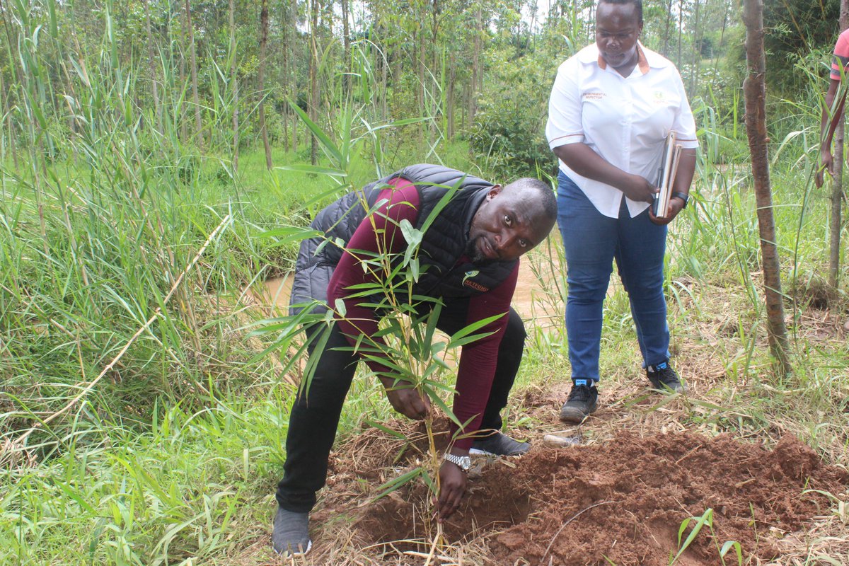 Change4-Planet.Org tweet media