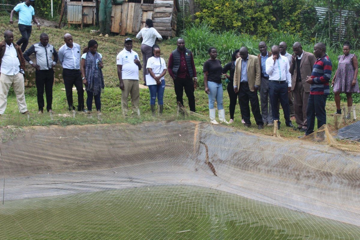 1. Through the Nature People and Climate Programme, we joined  the National Environment Trust Fund and the World Bank team for a scoping field mission with the County Government of Vihiga.