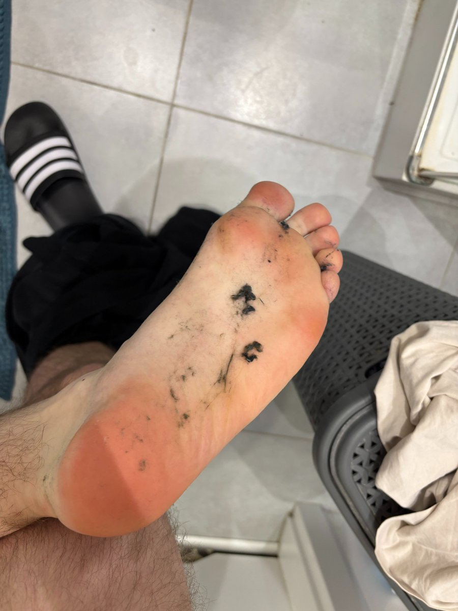 Master Han 🇵🇱 tweet media