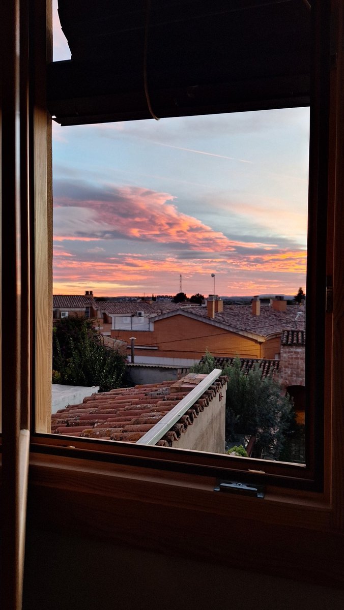 ivekosifer's tweet photo. Càpsules de felicitat 💊
#celrogent
#plujaovent
#celdiari
#dontlookup https://t.co/4jQVAAMYBZ