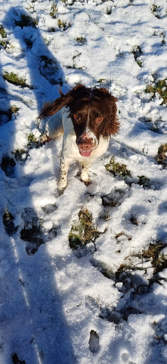 #TeamGunner tweet media