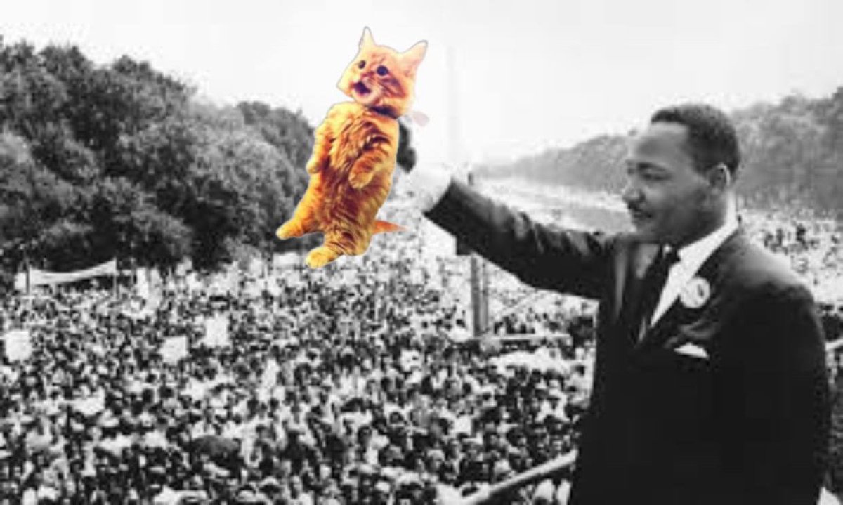 dream_cto's tweet photo. I have a dream. 

$dream https://t.co/98X57kwoNV