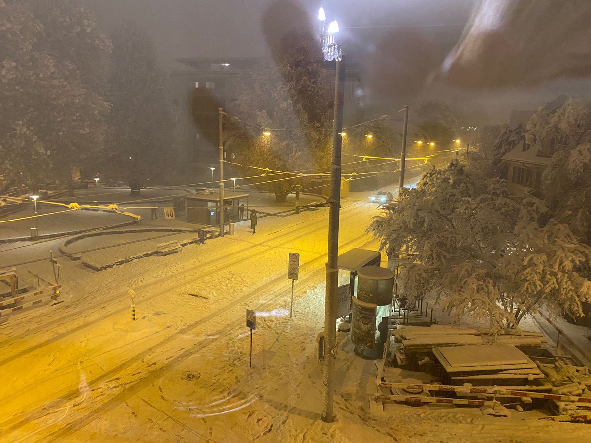 Einmal Schnee in der Weltstadt <a href="/BaselStadt/">Kanton Basel-Stadt</a> und die <a href="/BVB_BaselStadt/">Basler Verkehrs-Betriebe</a> hat den Bus- und Trambetrieb eingestellt. Ist der Basler Winterdienst im Winterschlaf?!