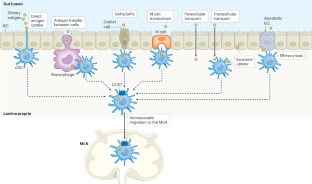Read two excellent #SMIMemberReview from <a href="/StephanieEisen/">Stephanie Eisenbarth</a> and Allen Mowat on #Allergy and oral tolerance. Read more in <a href="/jacionline/">Journal of Allergy and Clinical Immunology</a> and <a href="/NatRevImmunol/">Nature Rev Immunol</a>  

nature.com/articles/s4157…