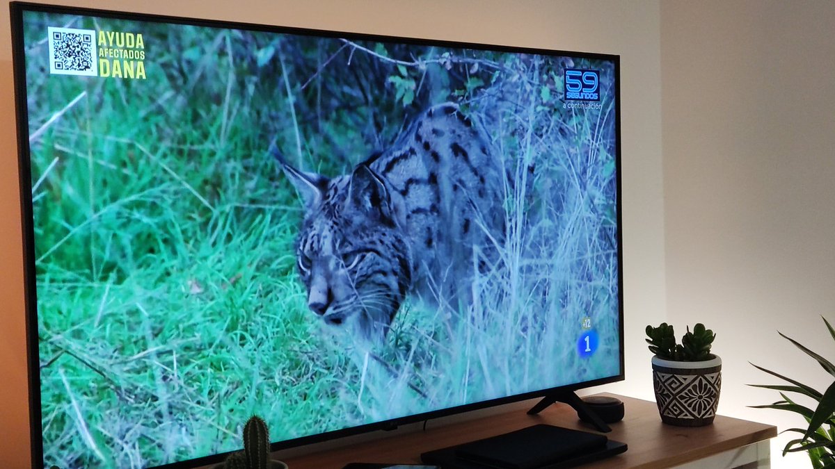 DaniDominguezRo's tweet image. Historia de la televisión #LaRevuelta