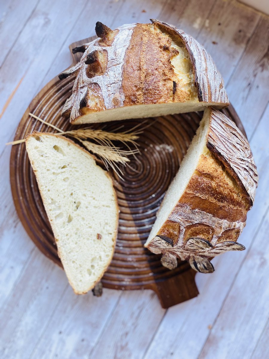 coman_ana91's tweet photo. Sourdough bread
44% egg white
26% water
2.4% salt
And lots of love ❤️
#Sourdough #bread #levainbread #food https://t.co/RKtnxeoiGw