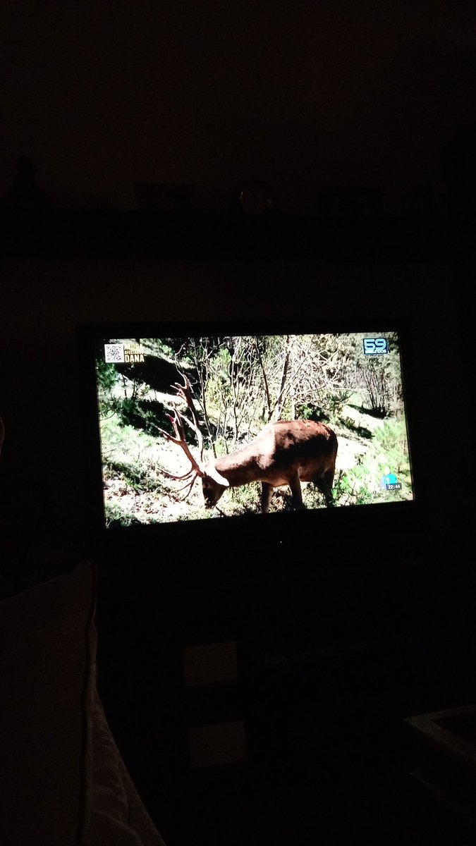 jose antonio tweet media