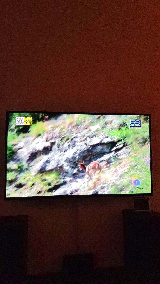 Pues a riesgo de no volver a trabajar en @atresmedia aquí estamos viendo <a href="/rtve/">RTVE</a> #LaRevuelta un saludo a los grandes directivos de esa casa, elegantes como ellos solos