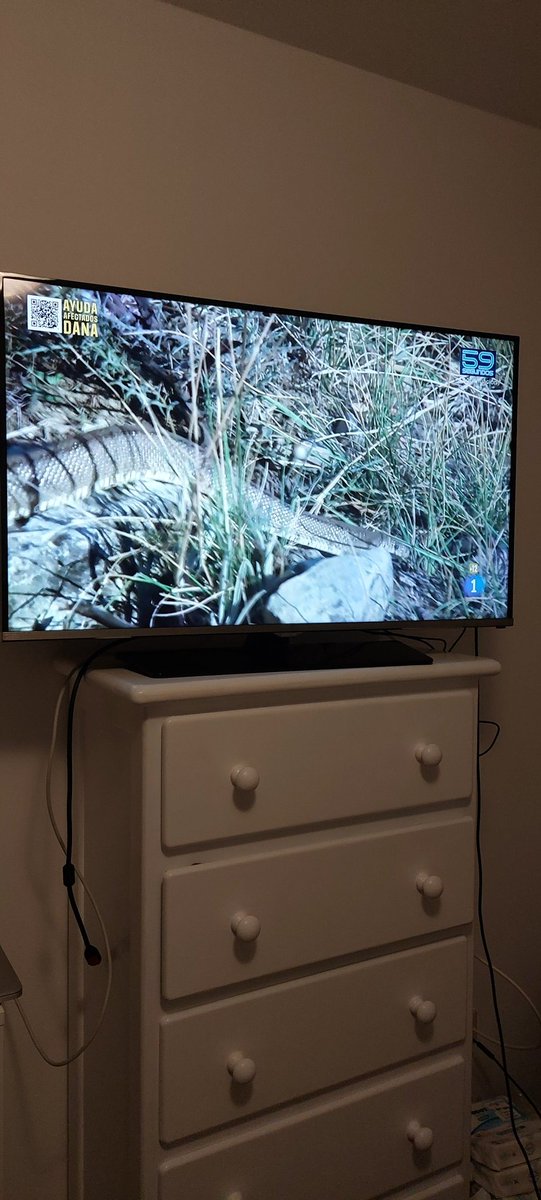 Bravo <a href="/LaRevuelta_TVE/">La Revuelta</a> y todo el equipo. 
Mejor ver estos animalitos que #elhormimierda