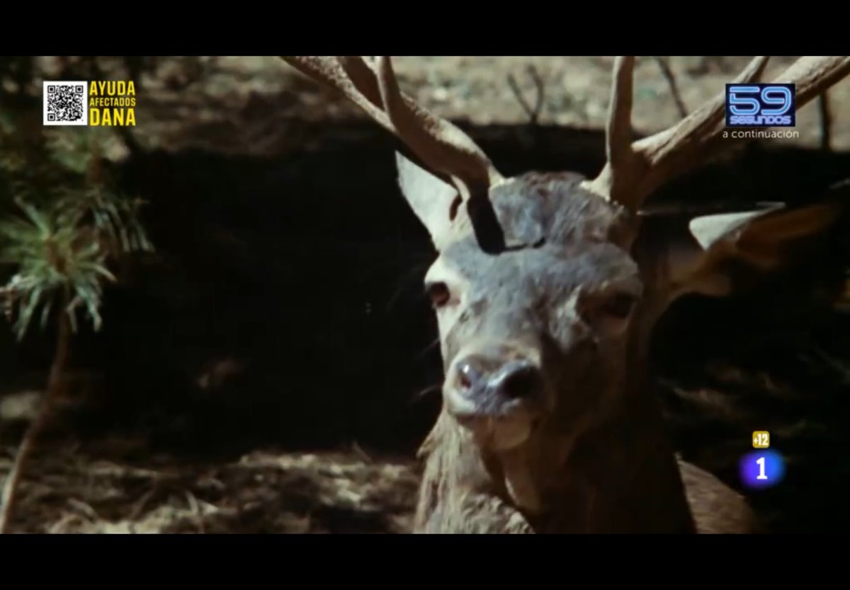 #LaRevuelta  flipando una noche más con vosotros