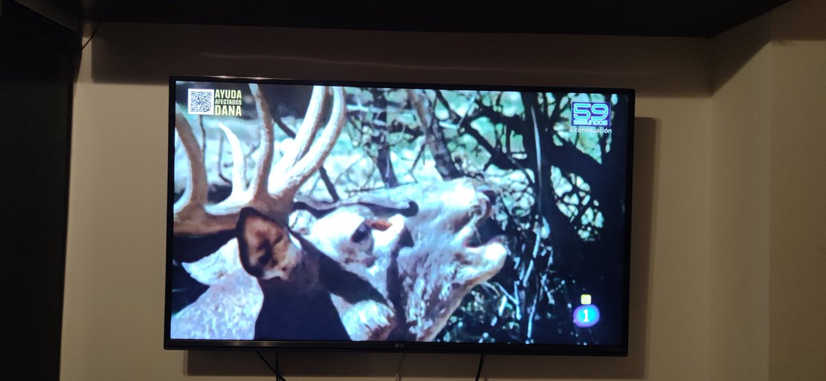 boni79er's tweet image. Broncano siempre en mi equipo. 
Esto es historia 
Enseandito ver las audiencias 
Y si.......
#LaRevuelta