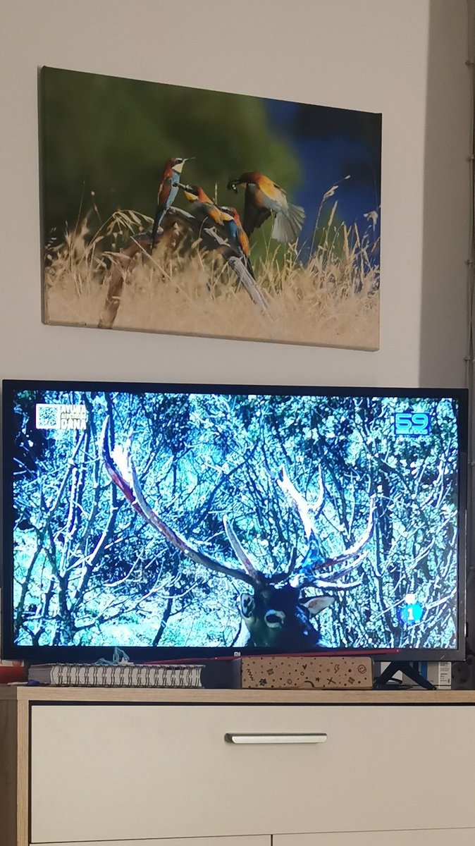 #LaRevuelta 21.11.24  Enorme <a href="/davidbroncano/">David Broncano</a>