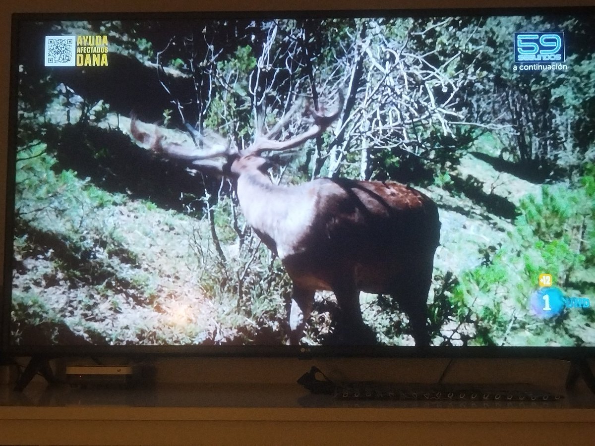 #LaRevuelta me quedo mejor viendo animales que no  al otro "animal" #davidbroncano con dos huevos TVE