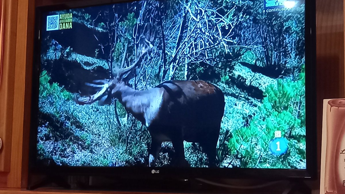 #LaRevuelta olé #Broncano. Aqui viendo tu magnífico programa