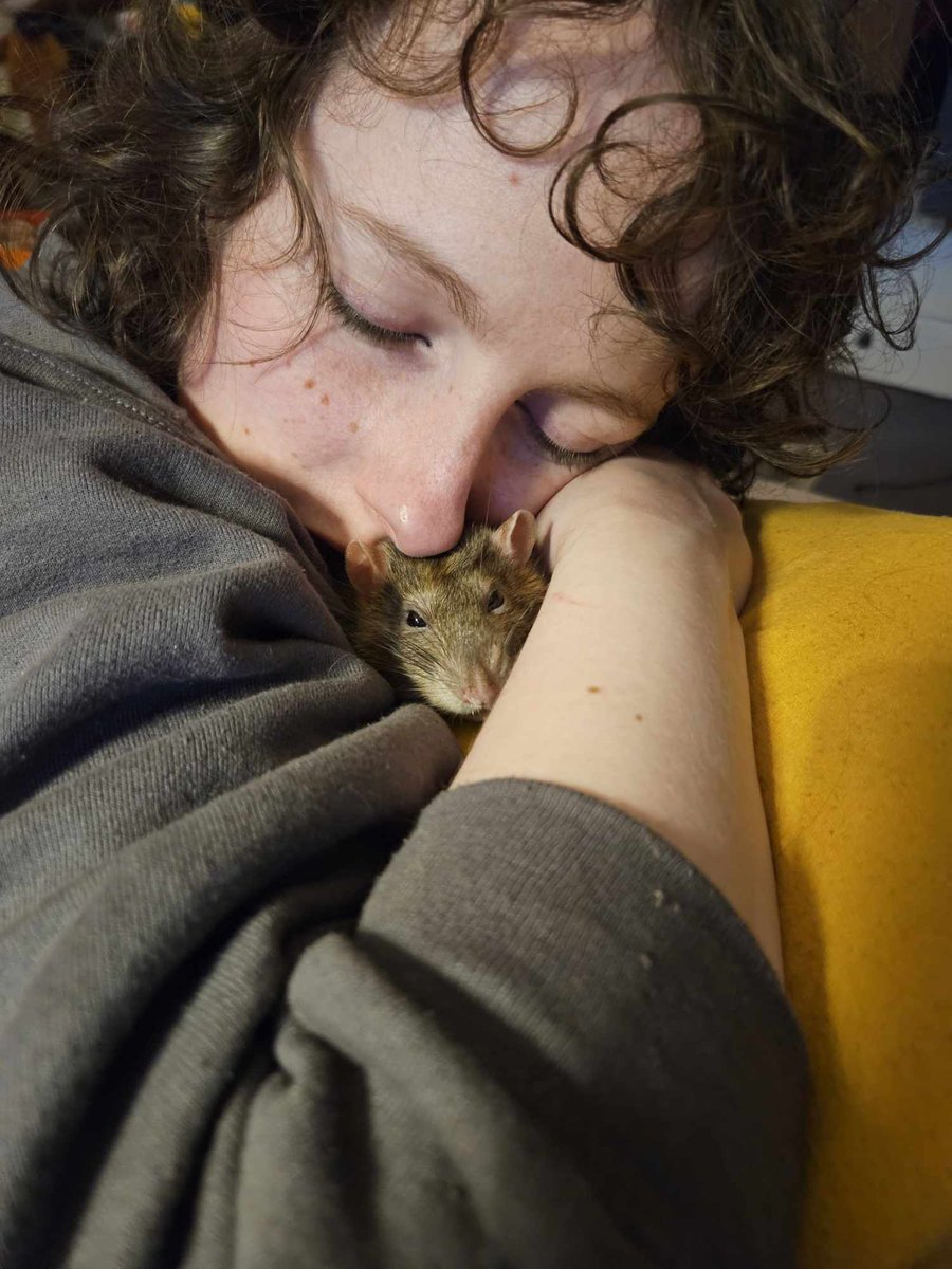 Kym Deyn 🔮 tweet media