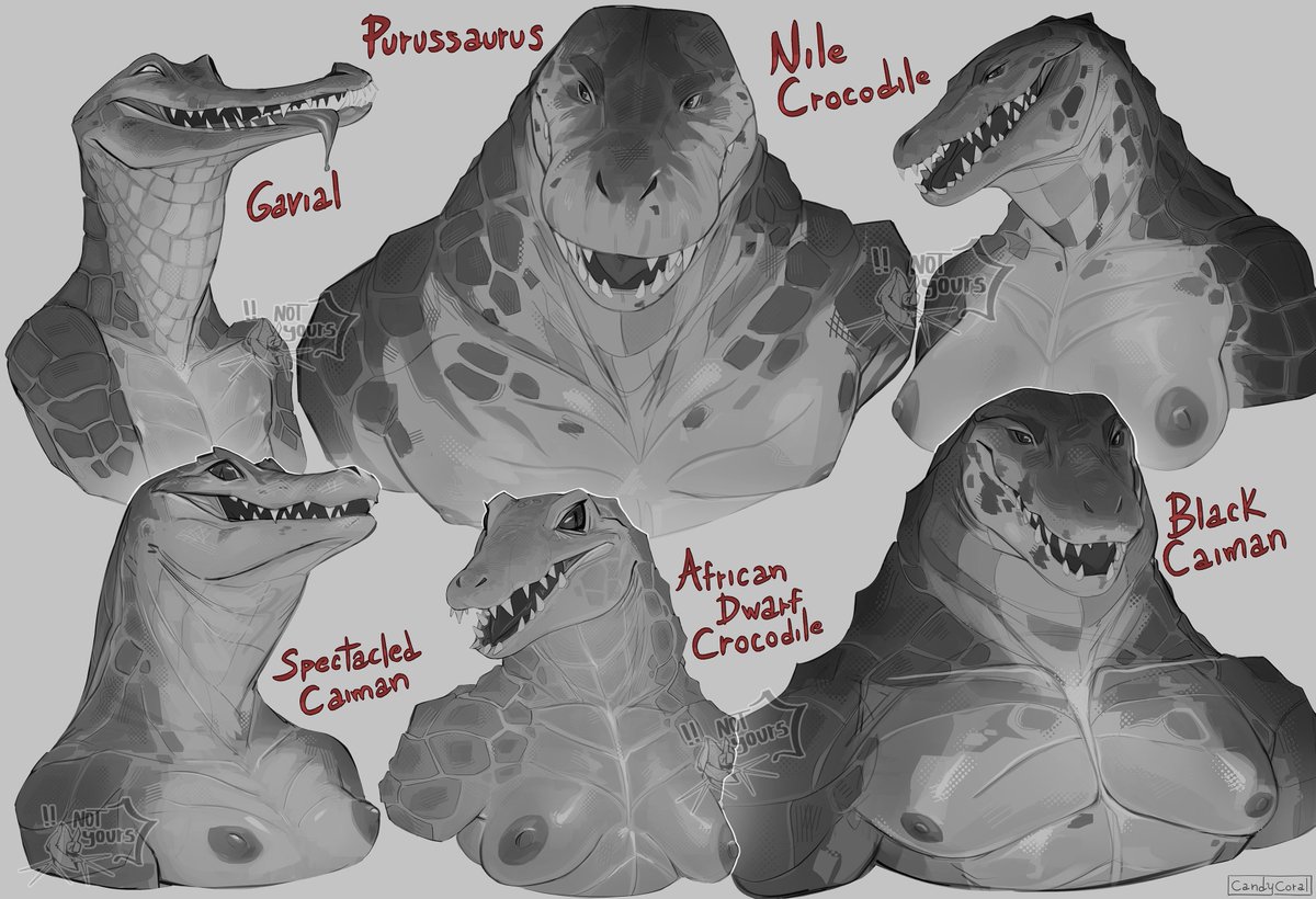 Candy_CoralZ's tweet photo. I miss drawing some croc babes...

(repost) https://t.co/tBOBhhureI