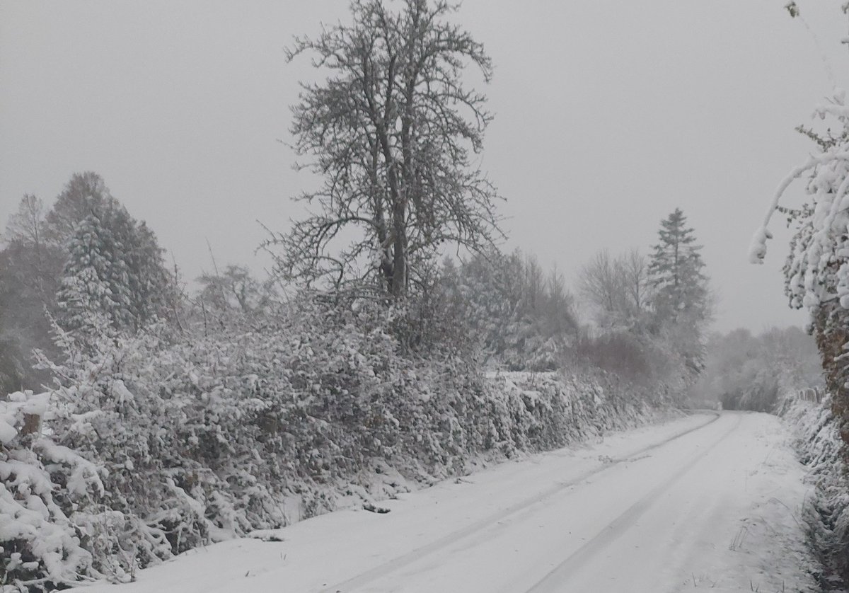 actu_perche's tweet photo. @Meteovilles un coucou depuis le Perche que vous venez d'évoquer :-) https://t.co/jKh2Xm4KnN