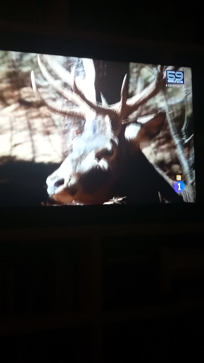 Mil veces mejor ver animales que el Hormiguero , sin # para no darle publicidad #LaRevueltaTVE #Larevuelta