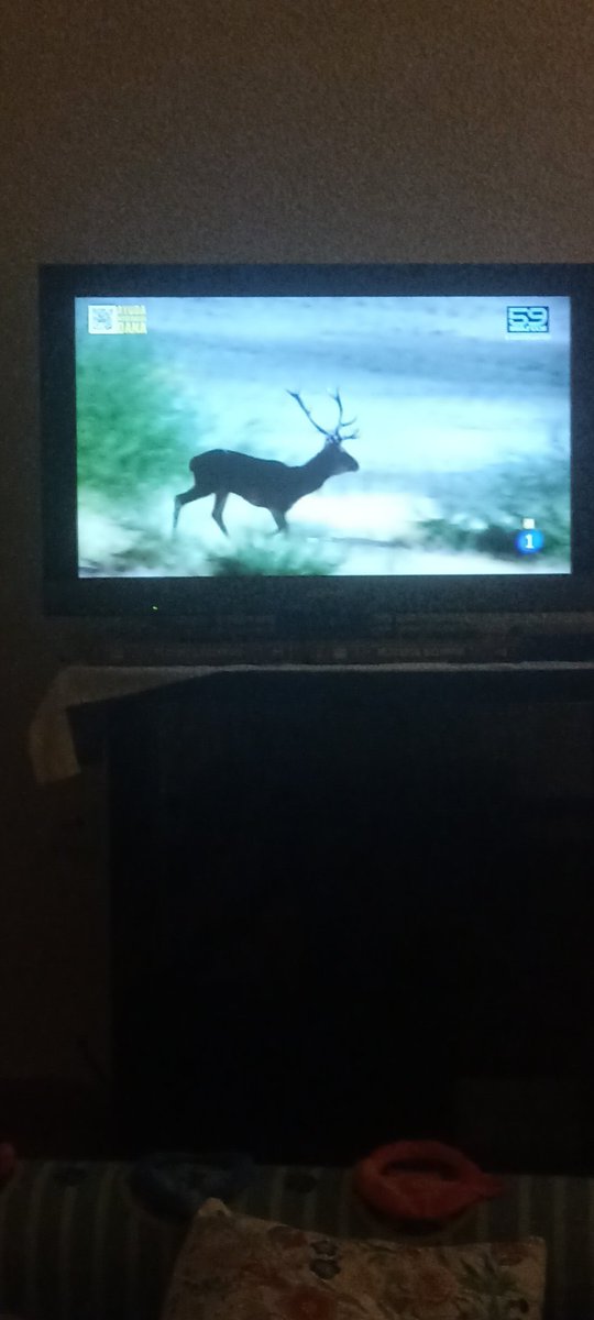 Seguimos viendo la <a href="/LaRevuelta_TVE/">La Revuelta</a> aunque pongan animales. Esto tiene más risa y es mucho mejor que el otro programa. #LaRevueltaTVE