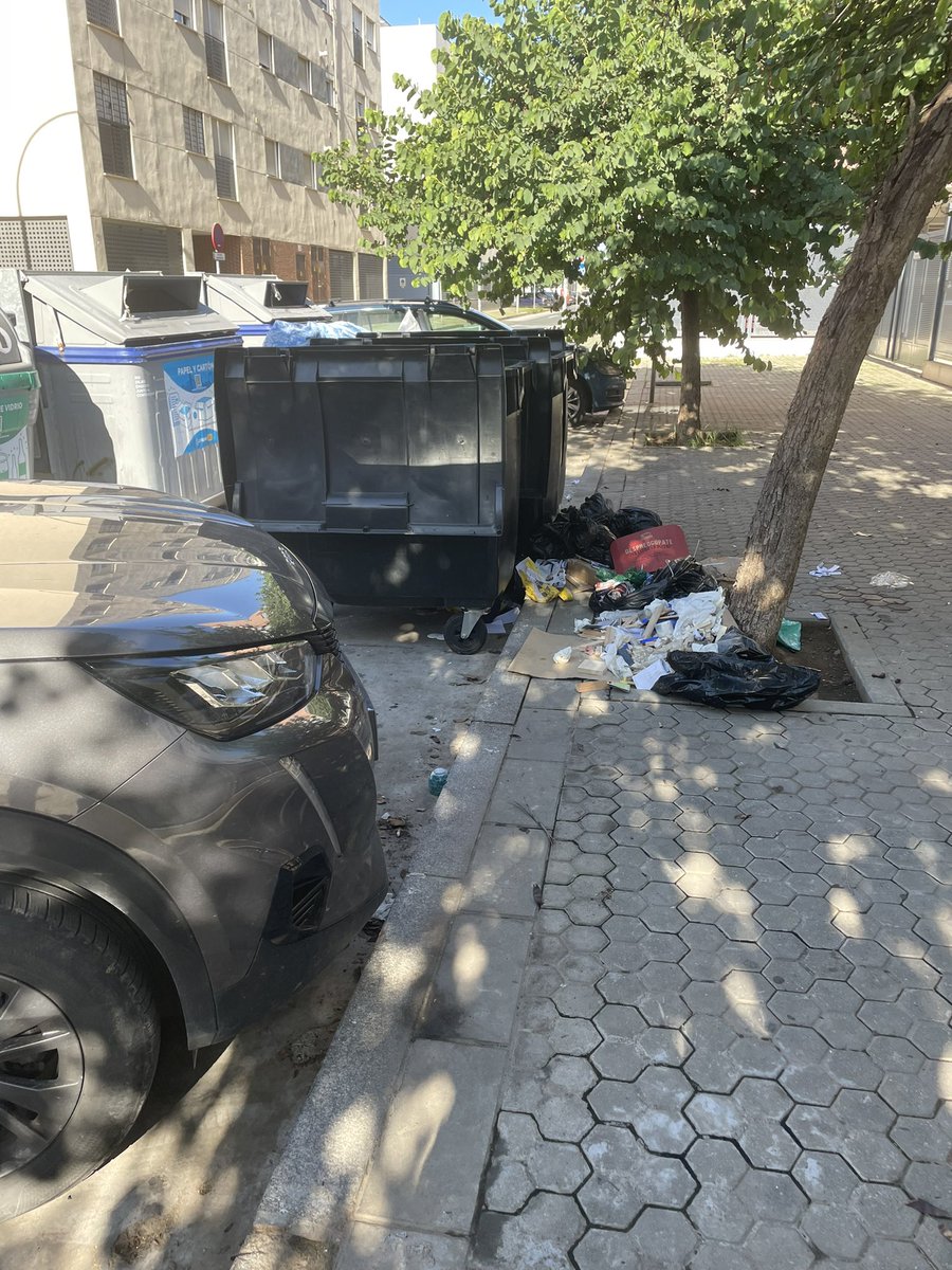 desevillaoe's tweet photo. @Ayto_Sevilla @EmergenciasSev https://t.co/FrhGfuFzdm