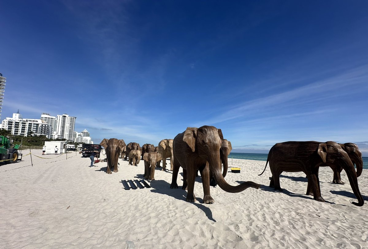 LOUISAGUIRRE's tweet image. The Great Elephant Migration has arrived to Miami Beach just in time for #ArtWeek. Go take your selfie but spread the message of conservation. A recent report by the @WWF just revealed that the planet has suffered a 73% loss of wildlife population in the last 50 years!