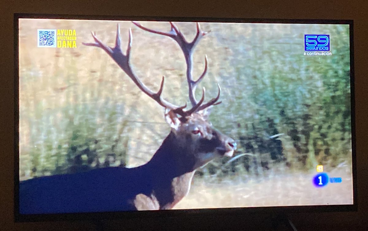 “La revuelta” fent la realitat la revolta. Tirant un documental d’animals durant 20 minuts perquè El hormiguero ha coaccionat el seu convidat d’avui perquè no hi anés.

Broncano ha explicat obertament la guerra. I play.

Història de la TV.

😮