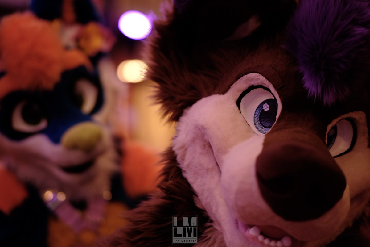 I am watching you but... who is that in the back? 

#fursuitthursday 
<a href="/SaraTheMouse/">Sara</a> 

📸: <a href="/ManchasLeo/">Leo Manchas~</a>