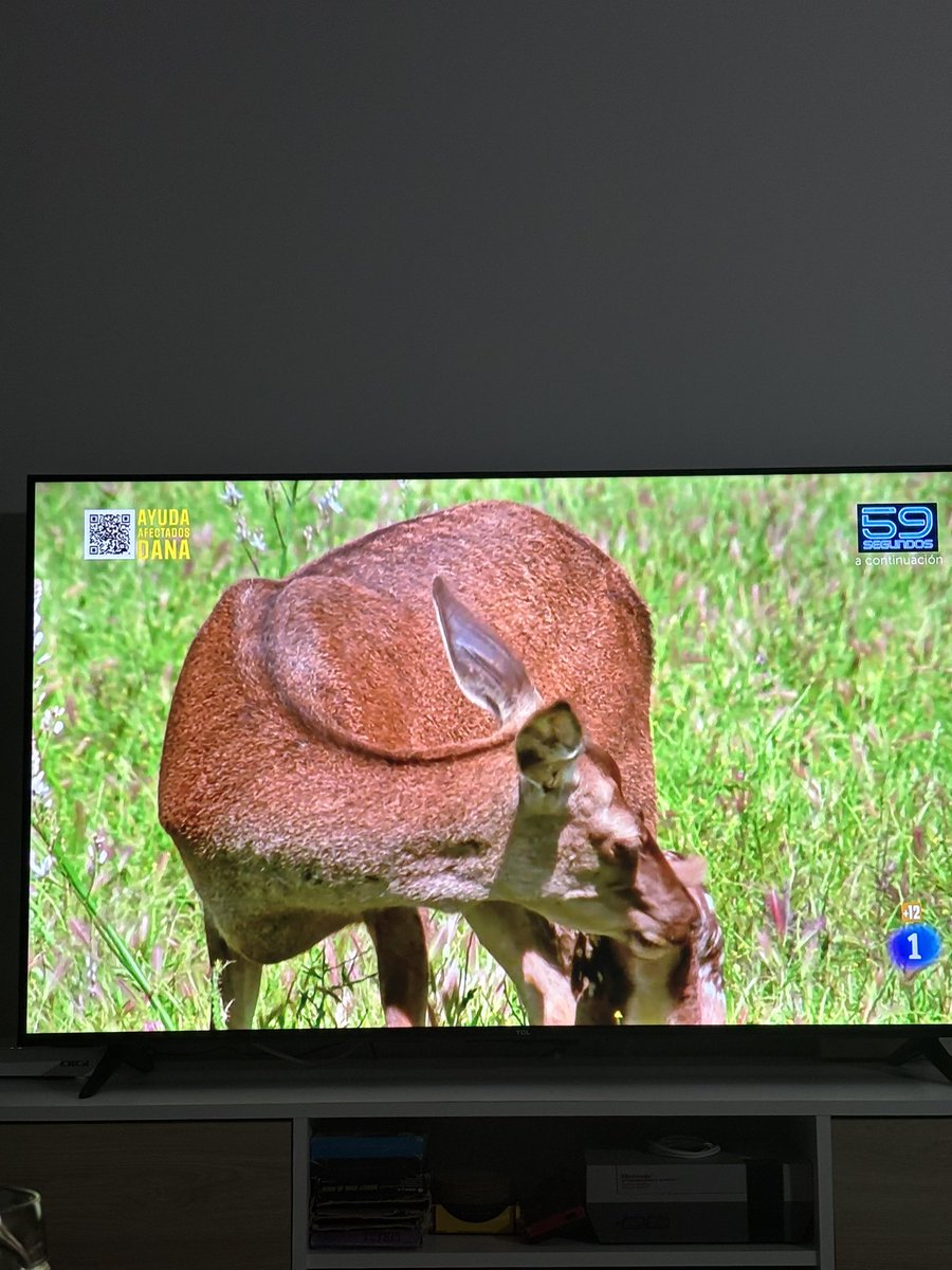 VirPOrm's tweet photo. @LaRevuelta_TVE Viendo animales hasta medianoche si hace falta. https://t.co/mJDj5wo5DY