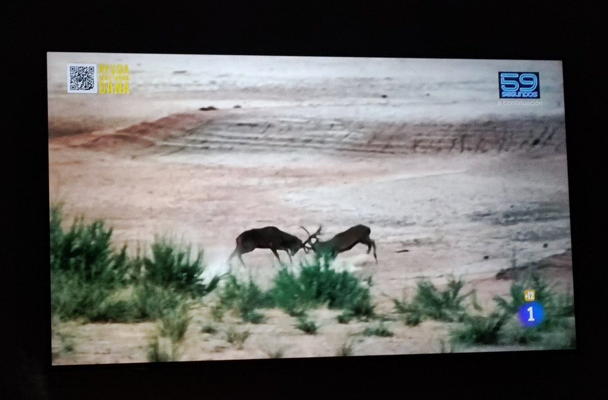 Antonio Pérez Verde tweet media