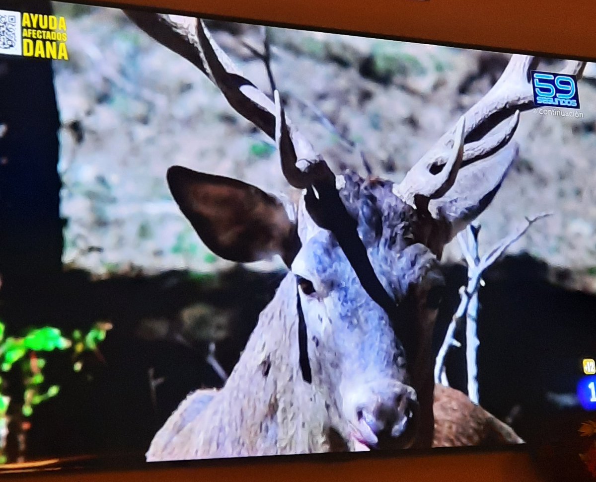 IsaiasLafuente's tweet photo. Buenas noches... 👋
👏👏👍@LaRevuelta_TVE https://t.co/kylaRLI6aM